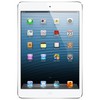 Apple iPad mini 16Gb Wi-Fi + Cellular белый - Вилючинск